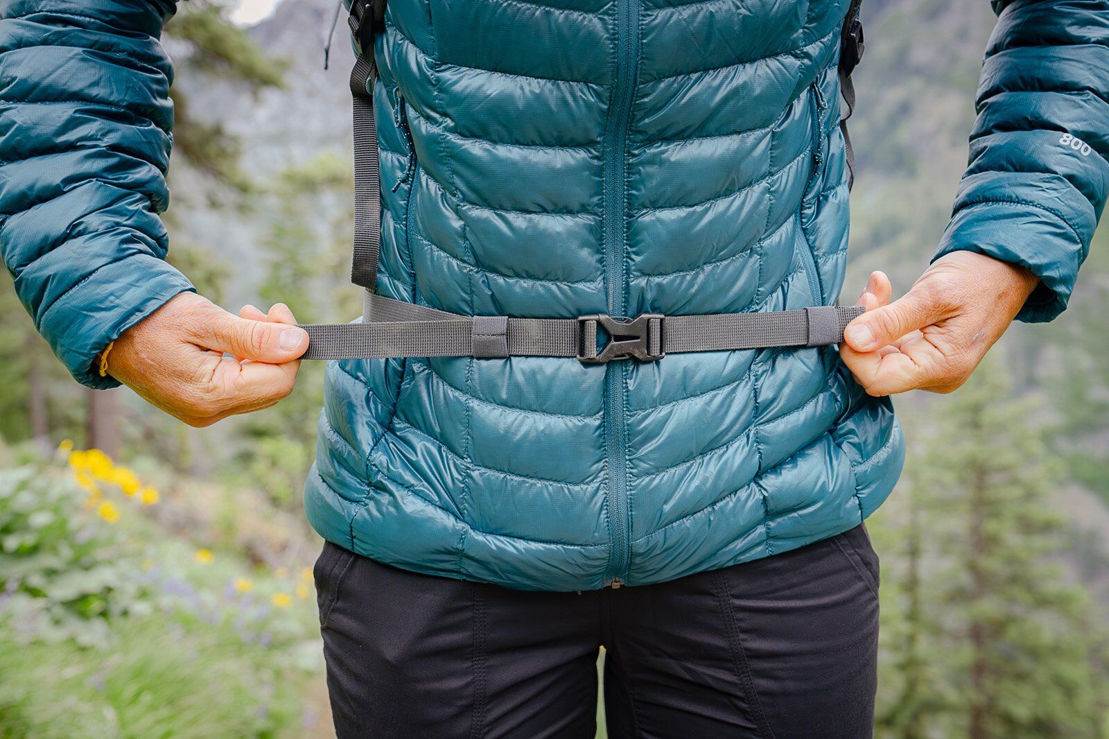 Deuter Speed Lite 21 hiking daypack hip straps