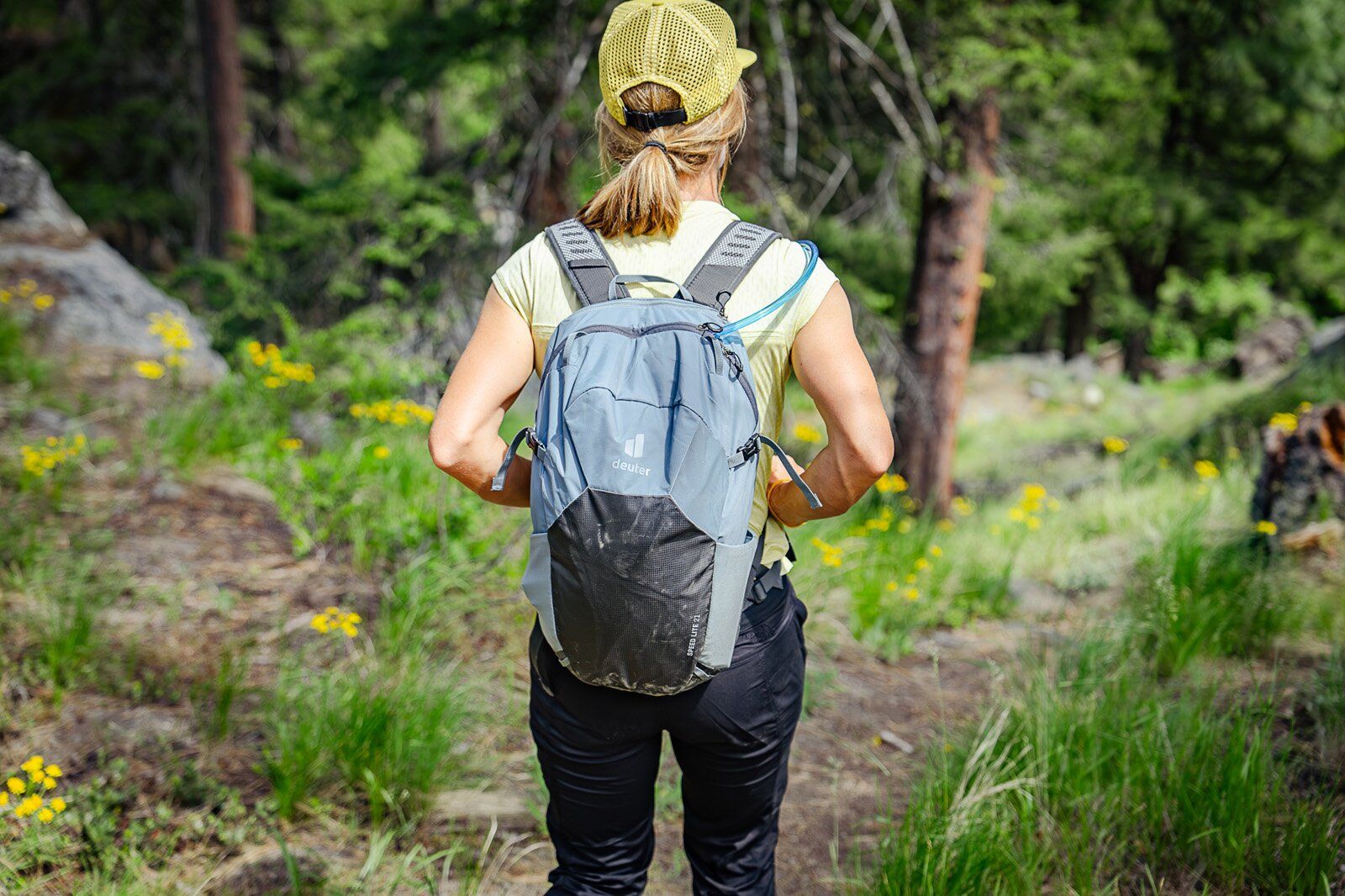 Deuter Speed Lite 21 hiking daypack rear view