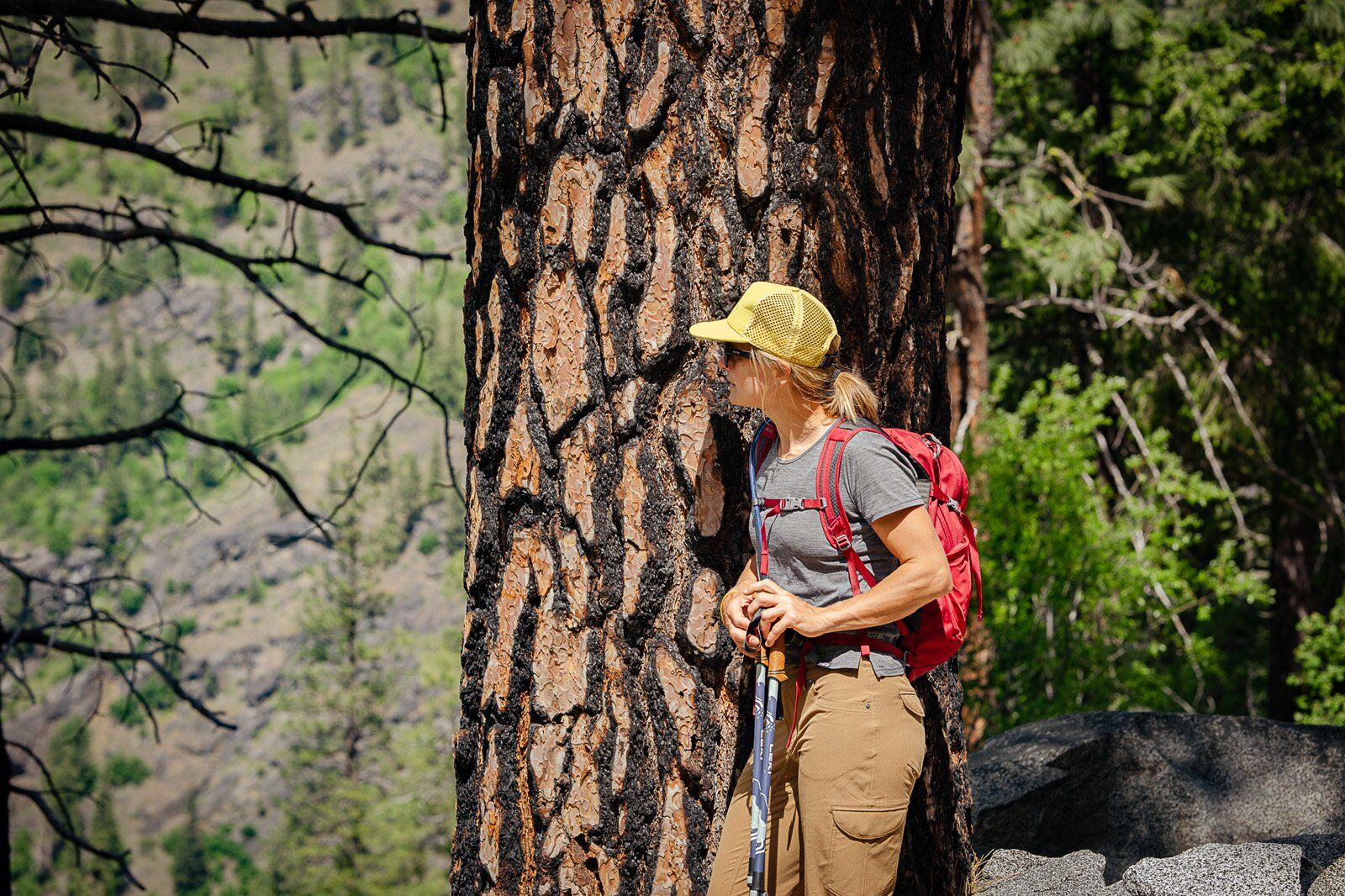 Hiker leaning on tree wearing the Osprey Daylite Plus hiking daypack