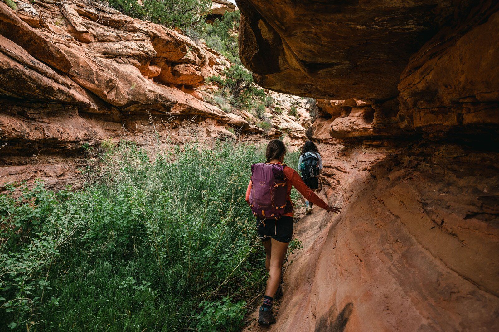 Hiker navigating brushy rock wall trail with Osprey Tempest Velocity 30 hiking daypack