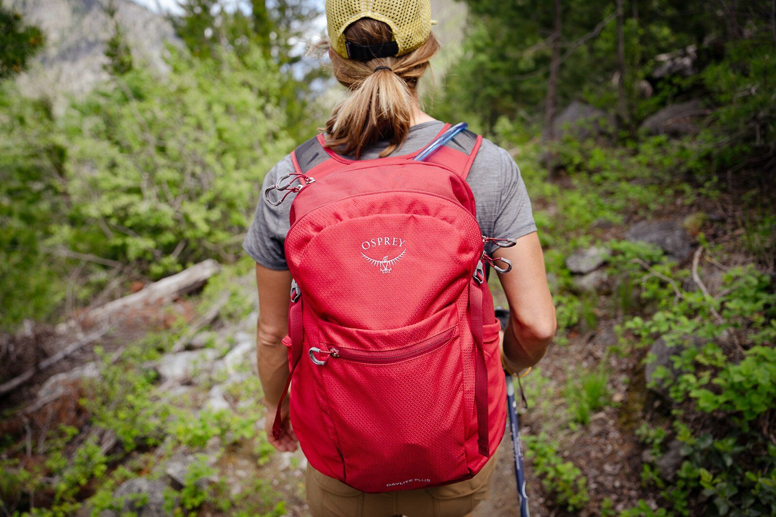Hiker wearing Osprey Daylite Plus hiking daypack on trail