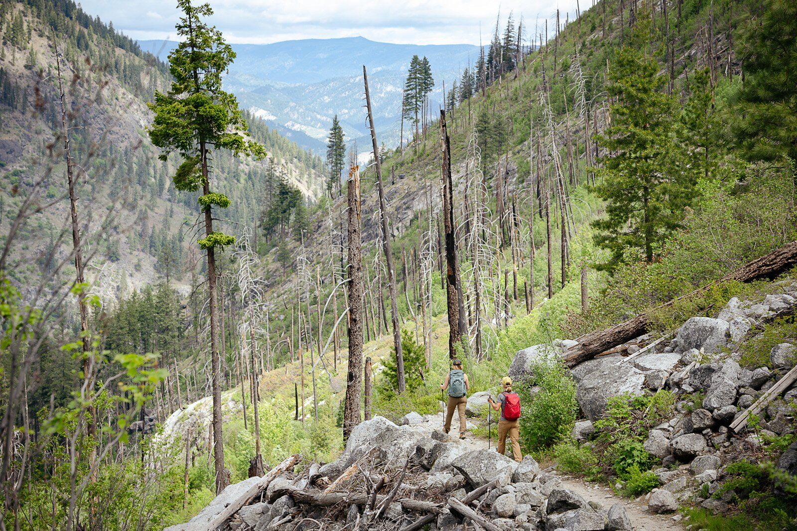 Hiking along trail with Osprey Daylite Plus hiking daypack