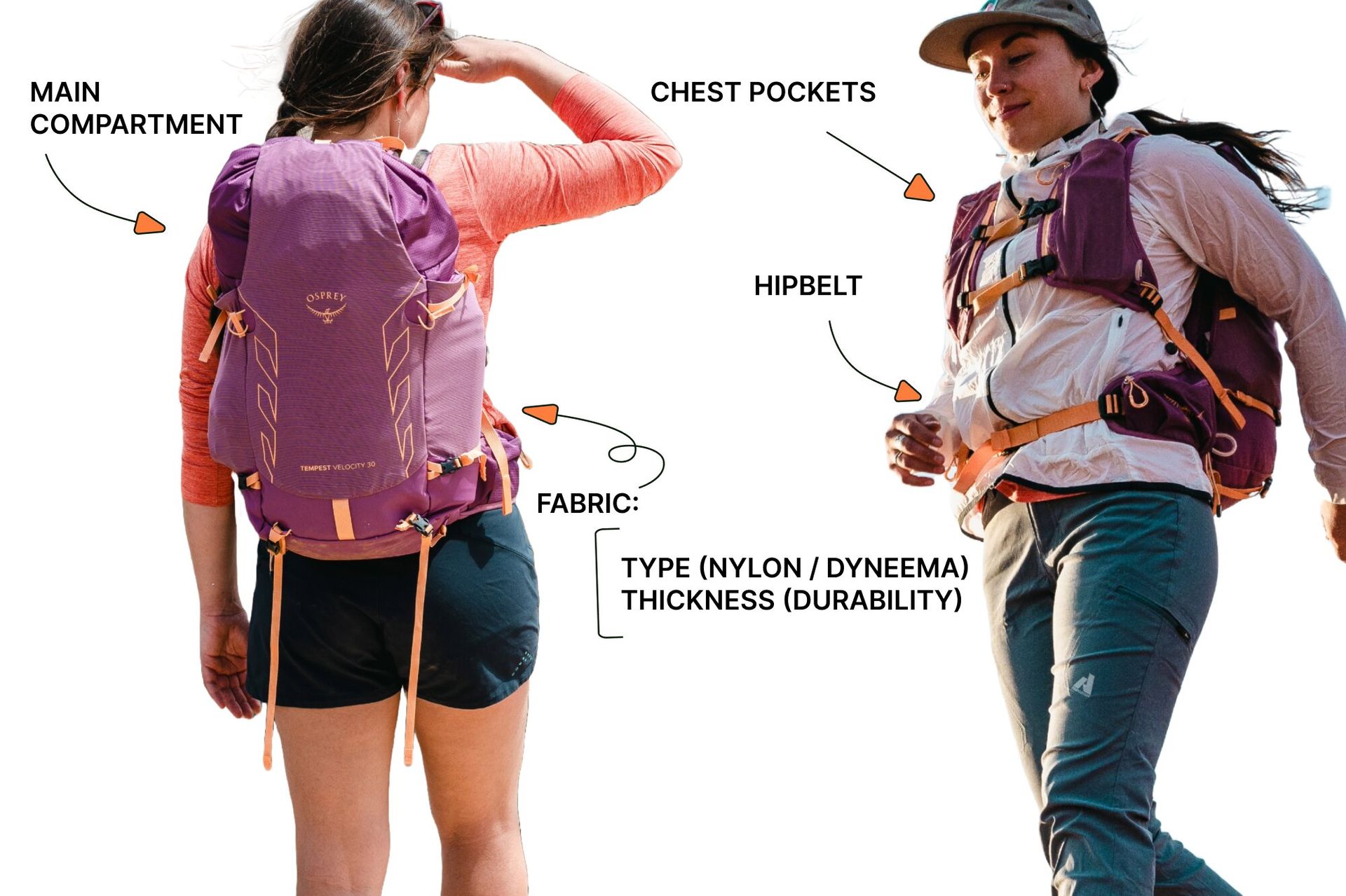 Hiking Daypack anatomy main compartment chest pockets hipbelt fabric