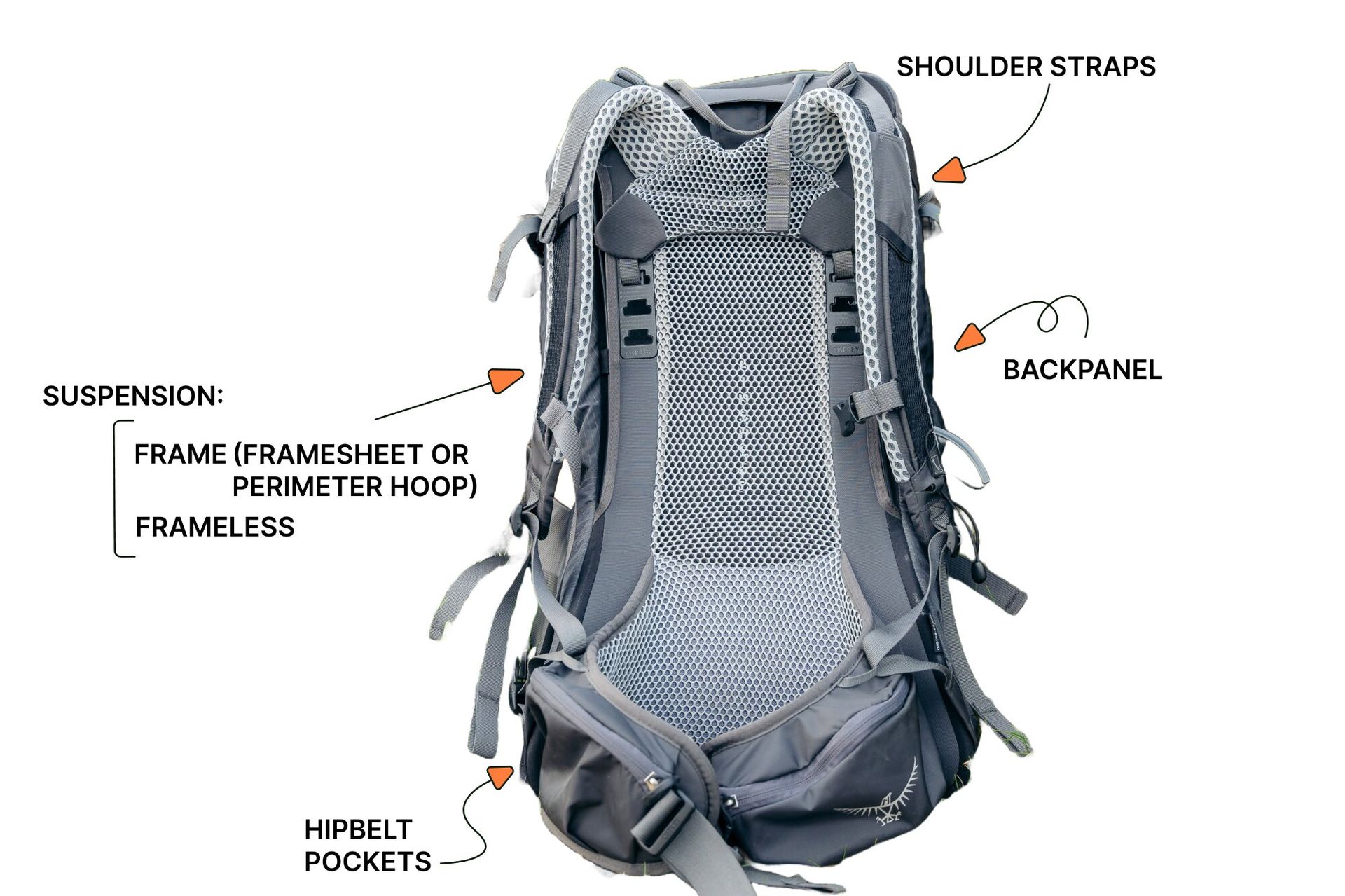 Hiking daypack anatomy suspension frame shoulder straps backpanel hipbelt pockets