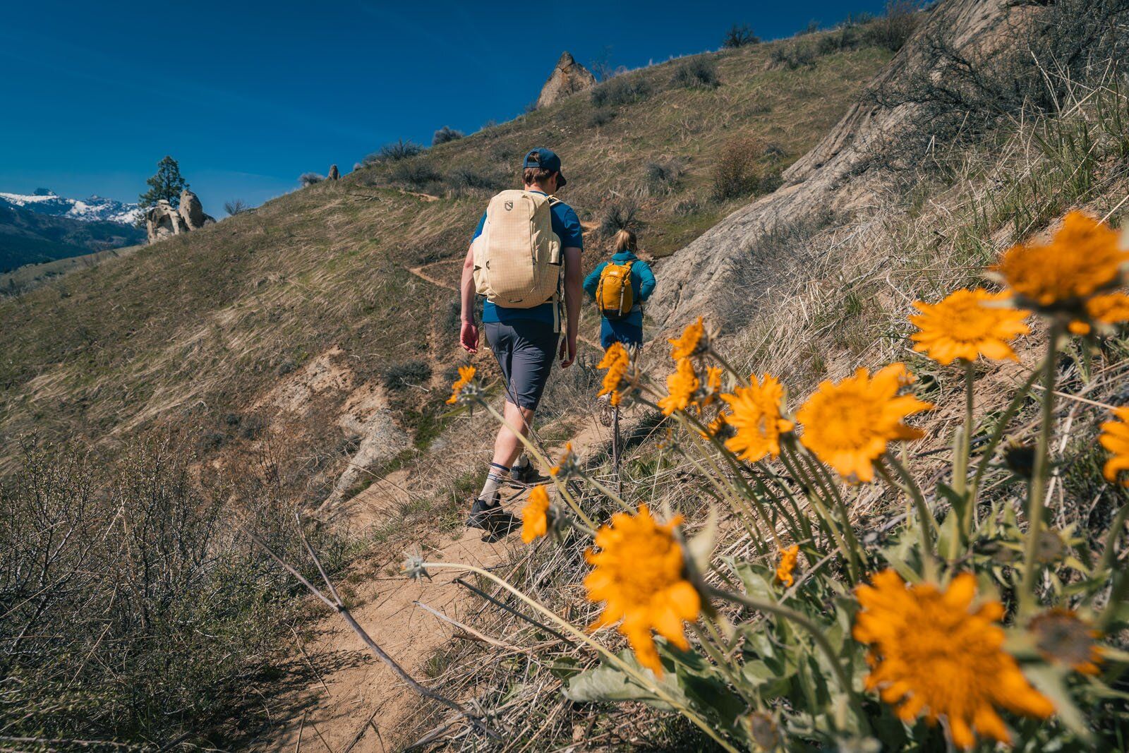 Hiking near wildflowers with Nemo Resolve Endless Promise 25 daypack