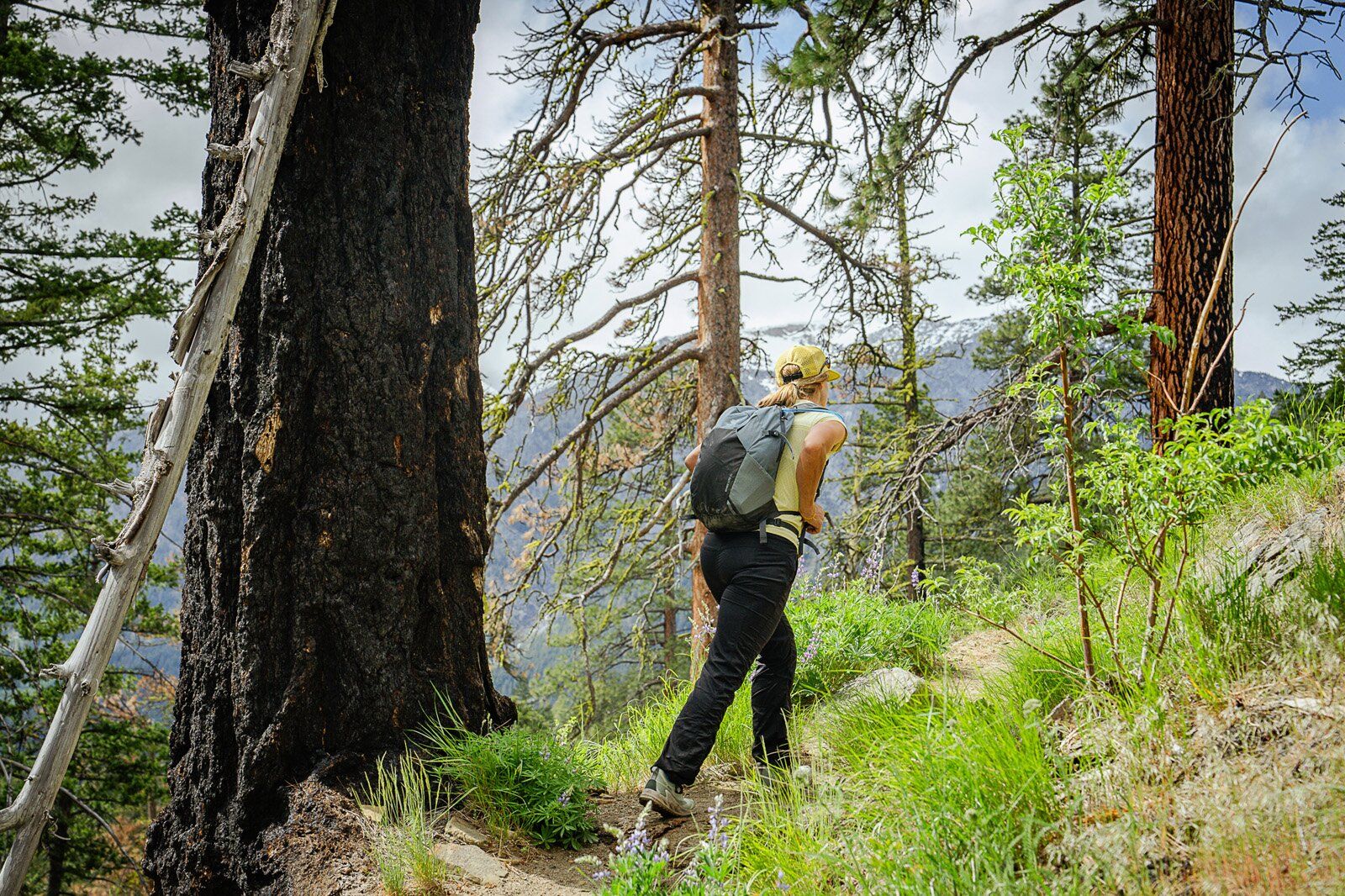 Hiking on forest trail with Deuter Speed Lite 21 hiking daypack