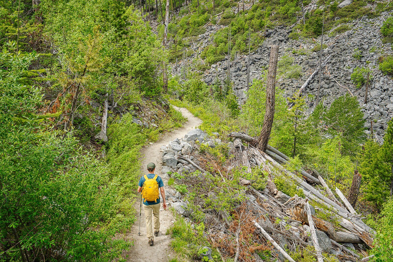 Hiking on forest trail with the REI Co-op Trail 25 hiking daypack