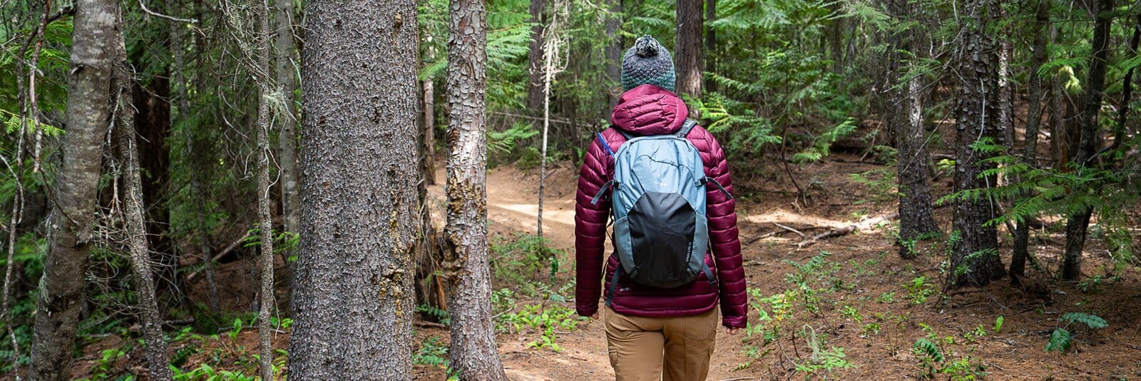 Hiking through forest trail with Deuter Speed Lite 21 hiking daypack