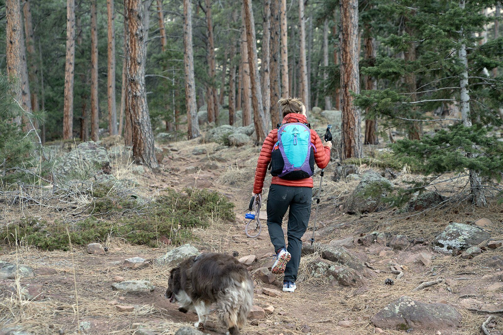 Hiking with dog with the Gregory Maya 20 hiking daypack