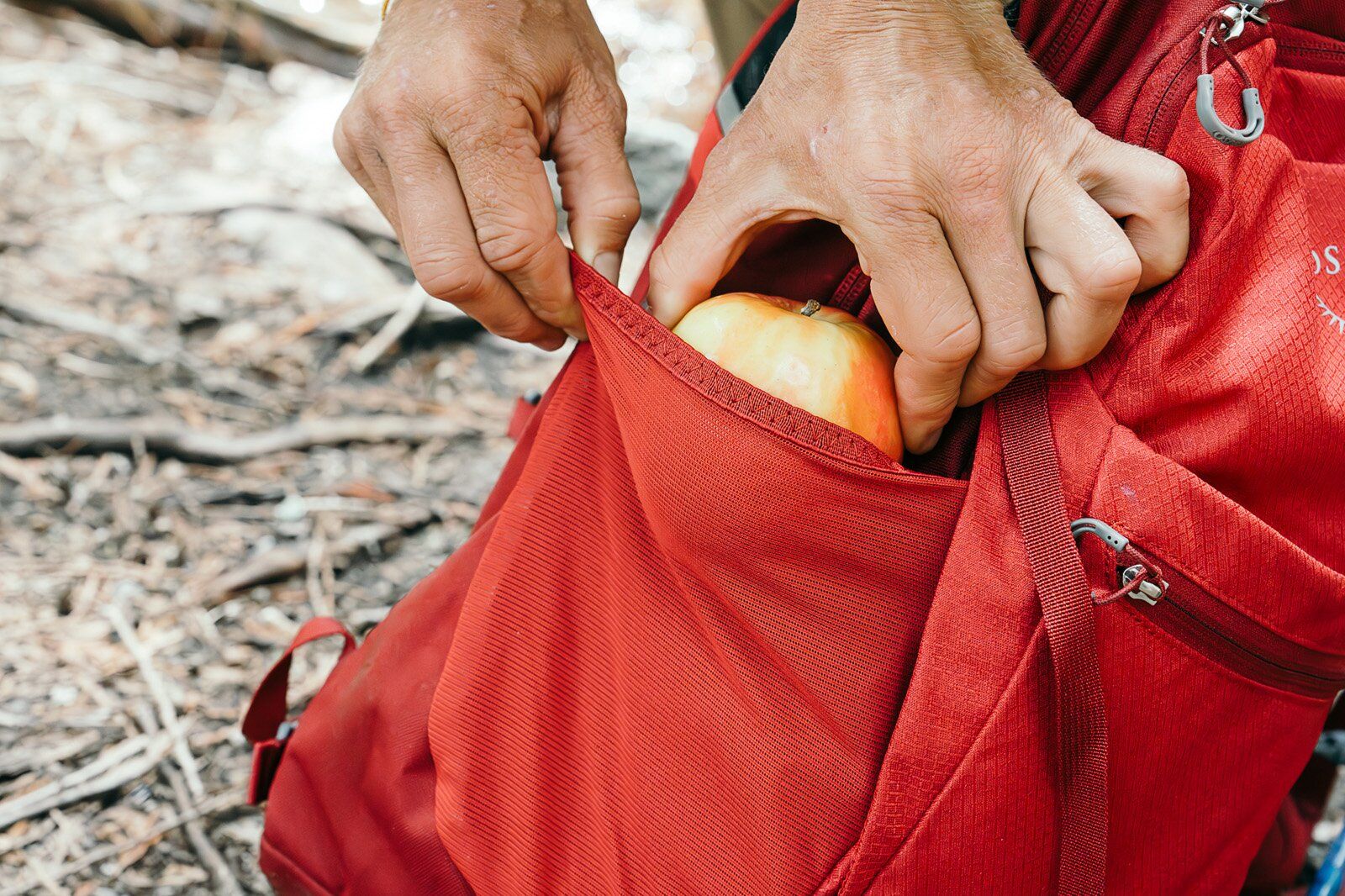 Osprey Daylite Plus hiking daypack mesh side pocket