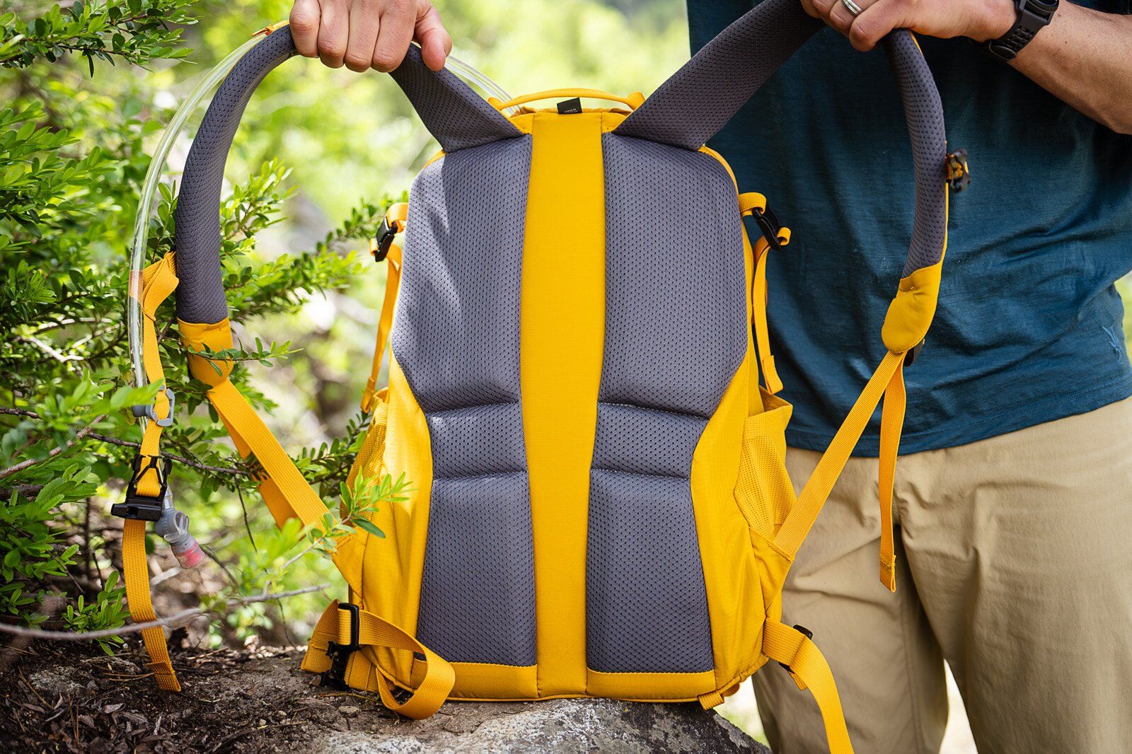 Padded back panel of REI Co-op Trail 25 hiking daypack