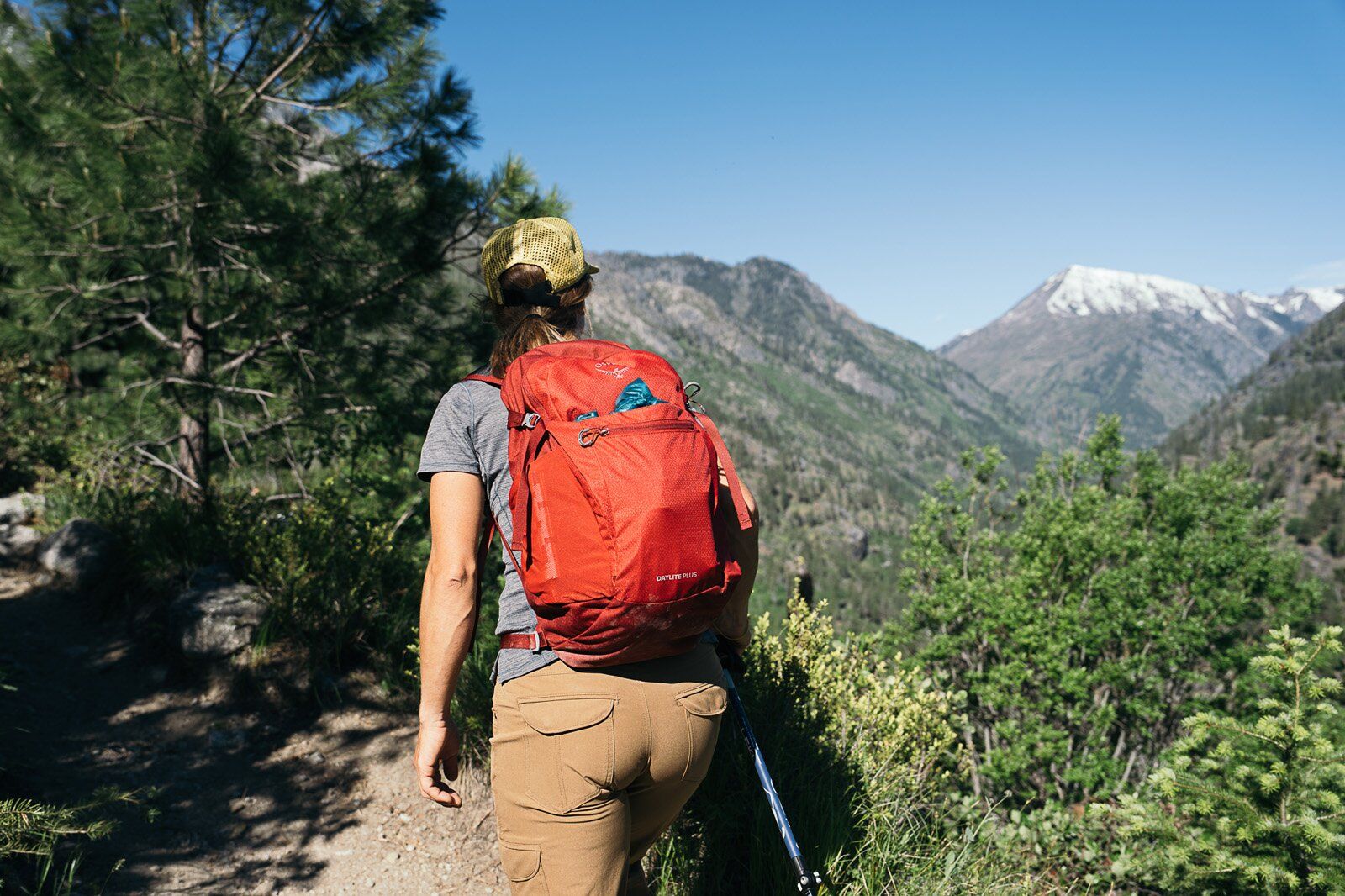 Rear view of hiker wearing the Osprey Daylite Plus hiking daypack