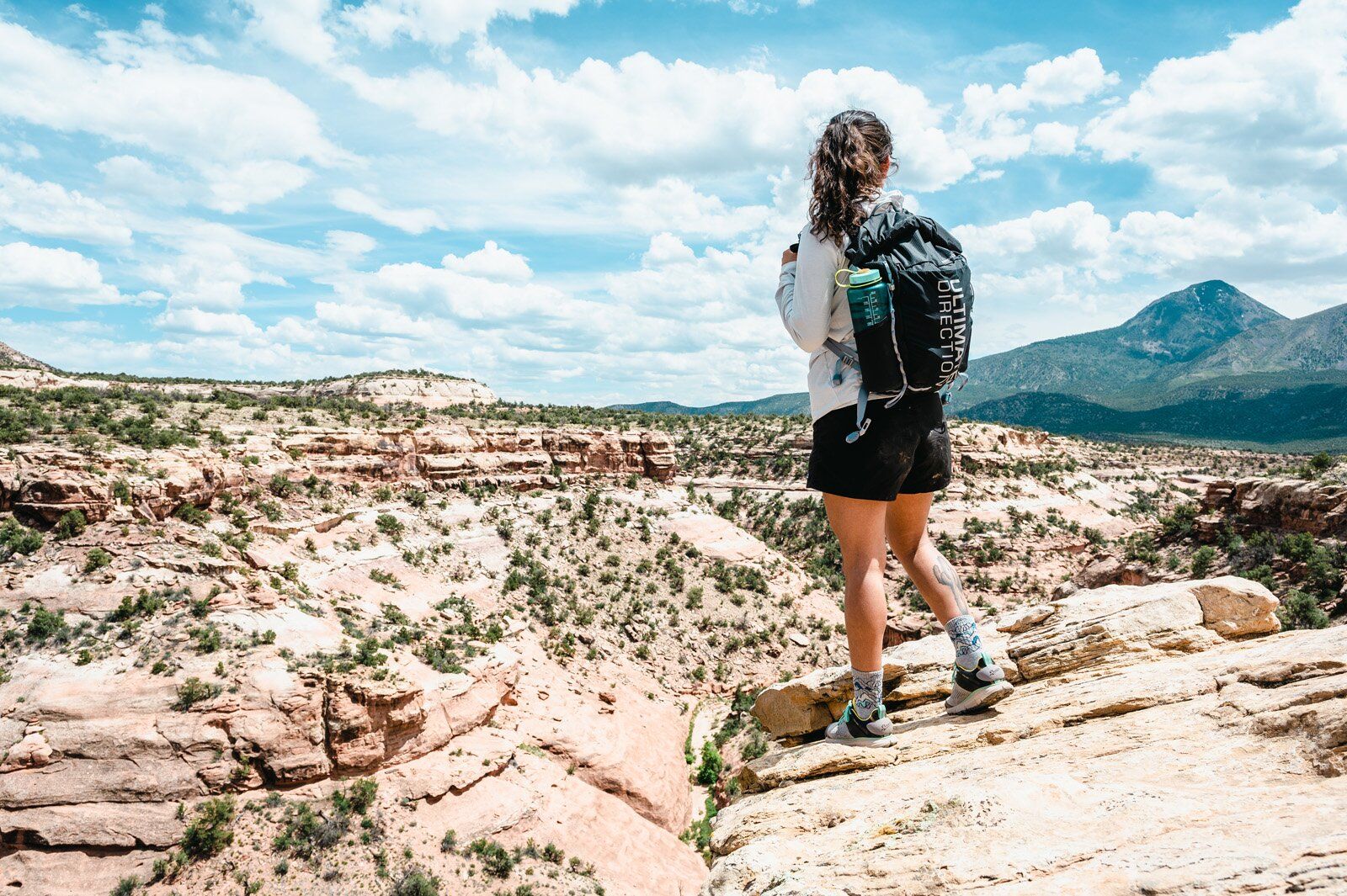 Rear view of hiker wearing Ultimate Direction Fastpack 20 hiking daypack