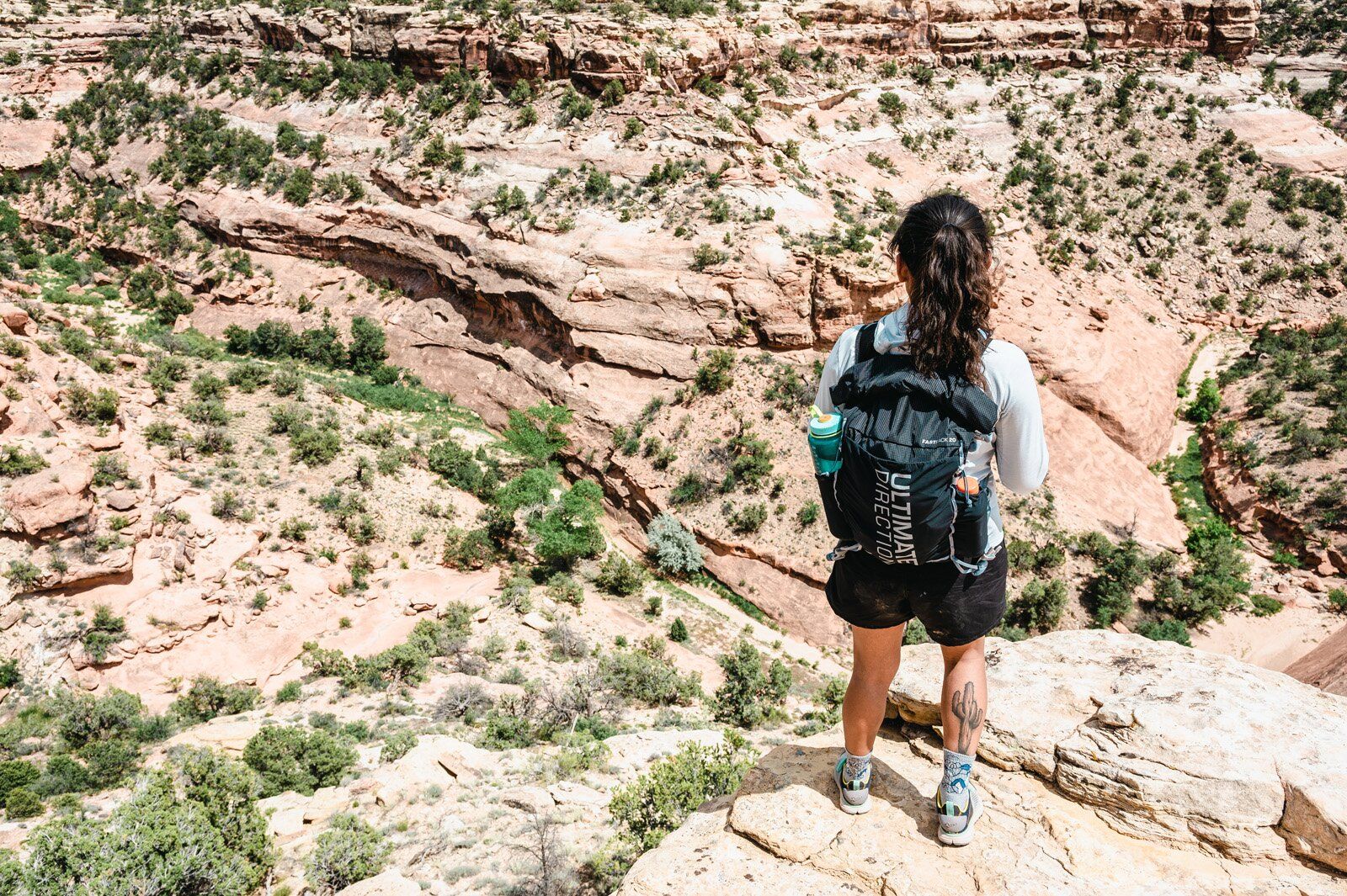 Ultimate Direction Fastpack 20 hiking daypack rear view
