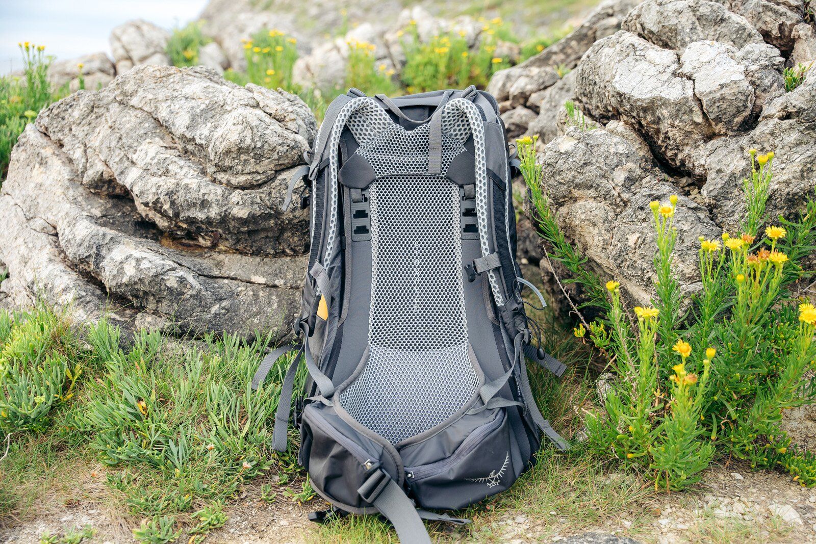 Ventilated backpanel and adjustable straps of Osprey Stratos 34 hiking daypack