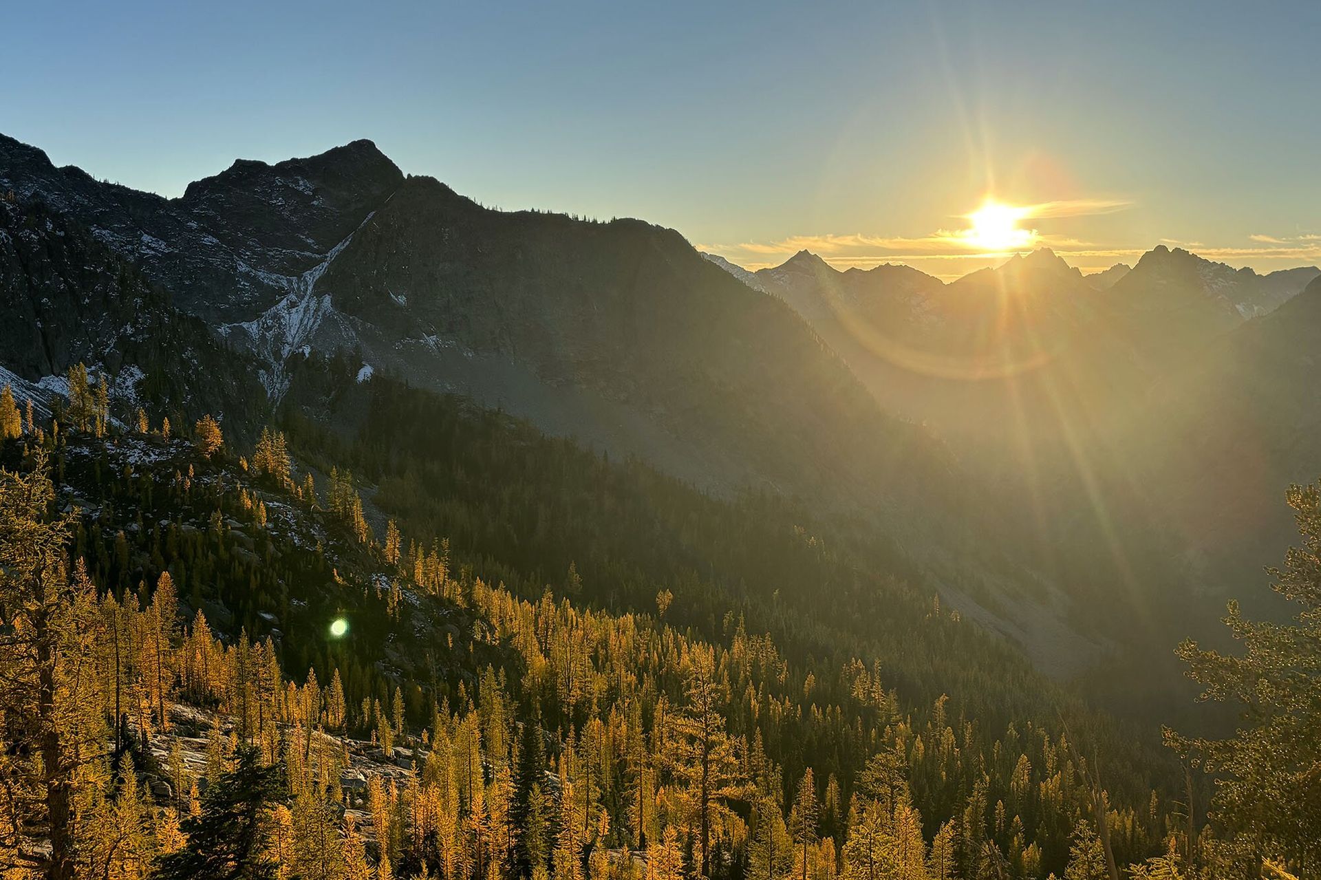 Yellow larches changing color in mountains at sunset