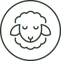 Sustainably Sourced Wool  icon